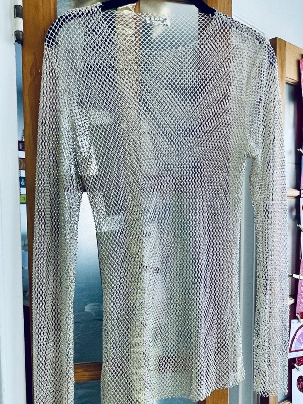 Filter finish Sheer Open Mesh Knit Top in Metallic Silver..